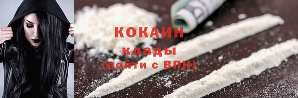 хмурый Осинники
