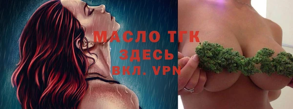 хмурый Осинники