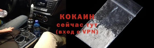 хмурый Осинники