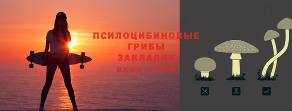 хмурый Осинники