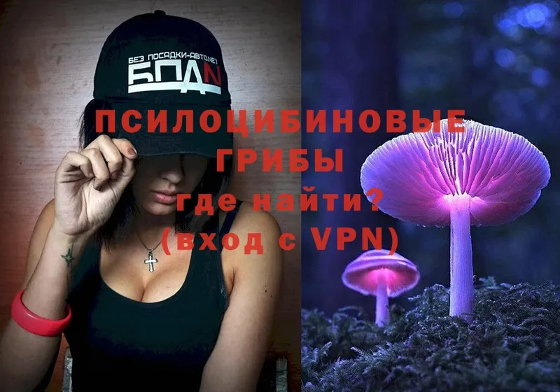 мега ТОР  Приморско-Ахтарск  Галлюциногенные грибы Psilocybe 