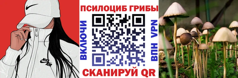Галлюциногенные грибы Magic Shrooms  Приморско-Ахтарск 