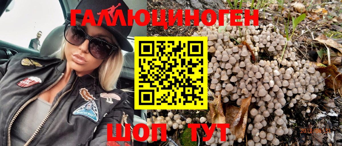 Галлюциногенные грибы GOLDEN TEACHER  Приморско-Ахтарск 