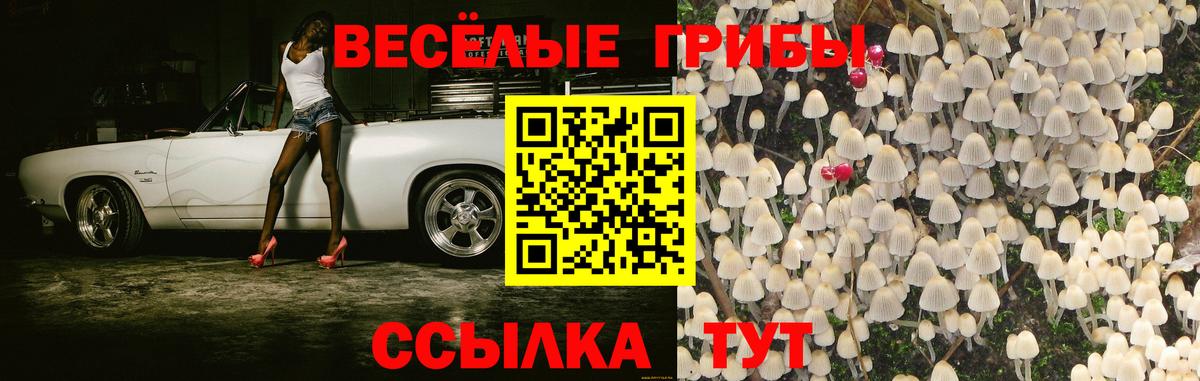Cocaine  Вход с VPN  Каннабис  Плюхи  25-NBOMe  Приморско-Ахтарск  МАРИХУАНА  Мяу-Мяу  МЕТ  АМФ 